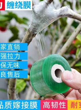 果树专用嫁接膜 树木自粘树苗专用免拆植物桃树荔枝高级嫁接膜