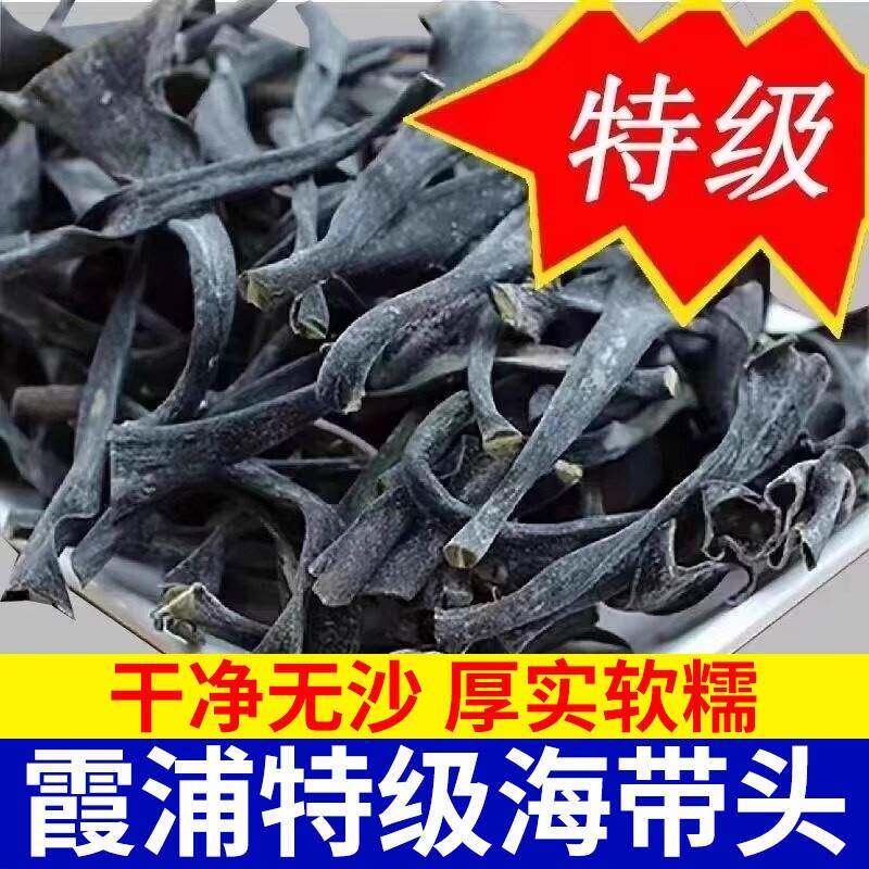 正宗福建霞浦海带头干货特厚级厚实软糯海带根海带海产品海带丝