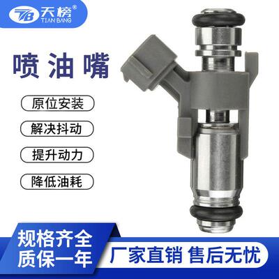 跨境热销 汽车喷油嘴IPM018 FUEL INJECTOR NOZZIE适用标致雪佛兰