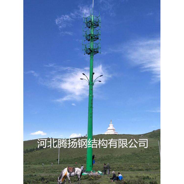 河北专业生产单管塔单管通讯塔单管避雷塔单管监控塔20米-60米