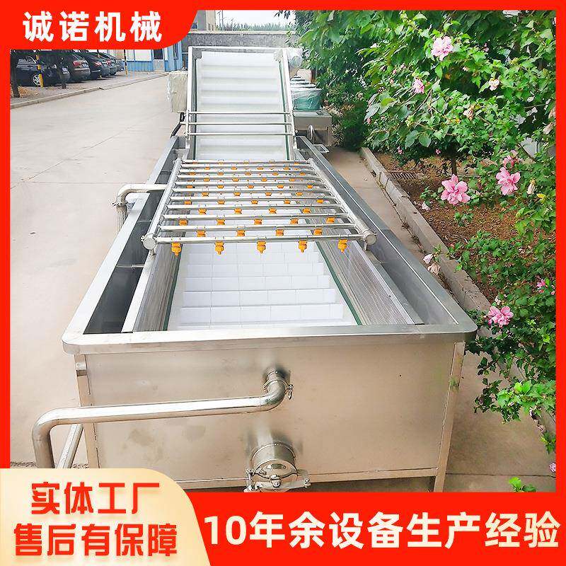 多功能果蔬清洗机 玉米鲜姜四季豆气泡清洗设备 大型蔬菜清洗机