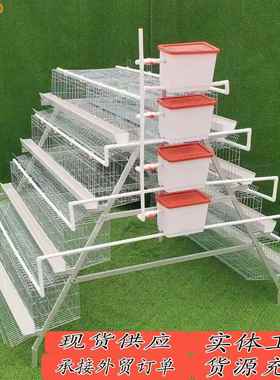 层镀层式蛋叠鸡笼三四层A型HCZ阶梯式蛋鸡笼全自动养殖设备热锌鸡