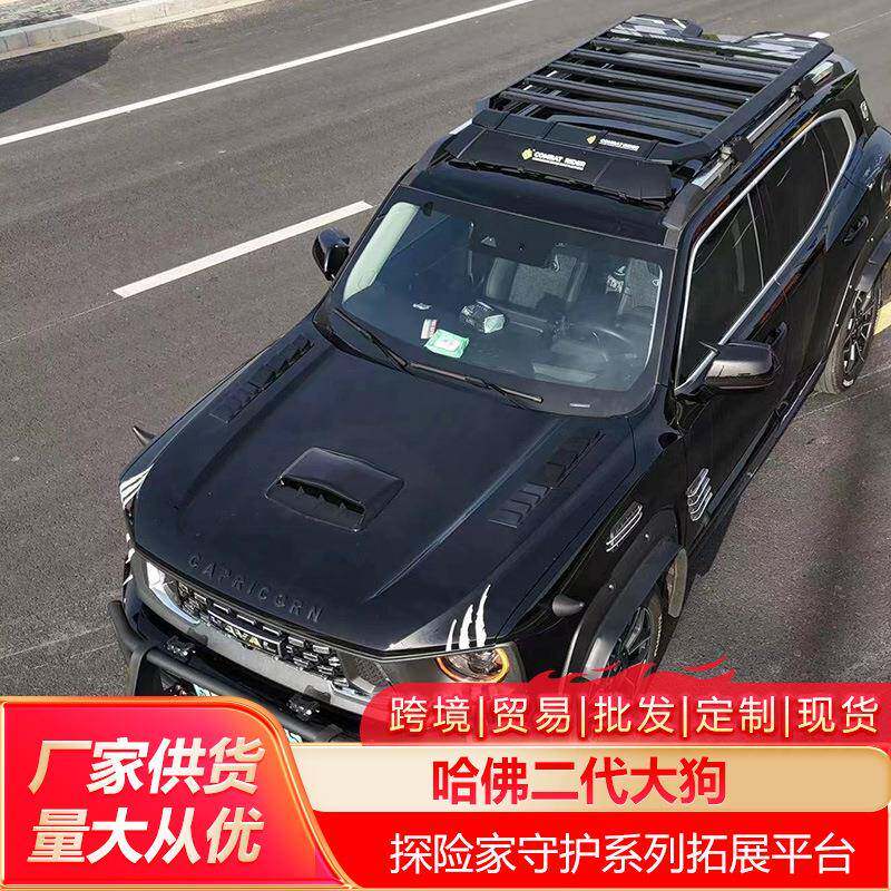 哈佛二代大狗车顶行李架爬梯侧账车载越野改装拓展平台旅行储物架