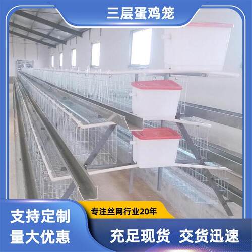 热镀锌四层四门蛋鸡笼出口工厂直销阶梯式养殖蛋鸡笼具自动滚蛋笼