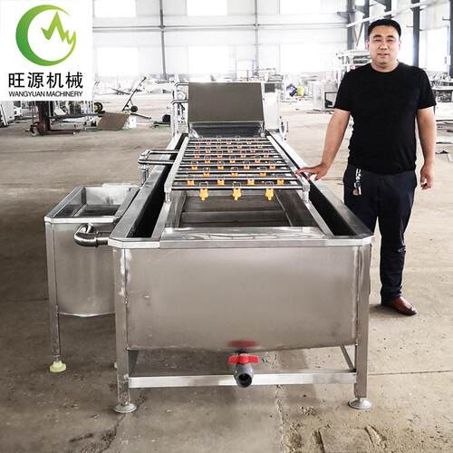 杏鲍菇气浴气泡清洗机 去泥沙洗菜机器设备 香椿芽豌豆芽加工机