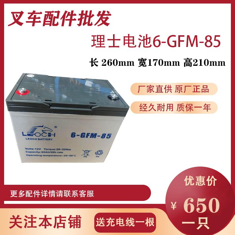 LEOCH理士蓄电池 6-GFM-85 12V85AH电动叉车电瓶中力合力诺力叉车