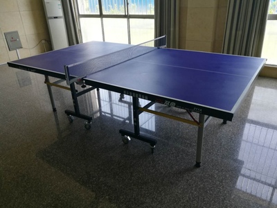 揭秘吐槽双鱼乒乓球桌怎么样有人刚入手又退掉为何?