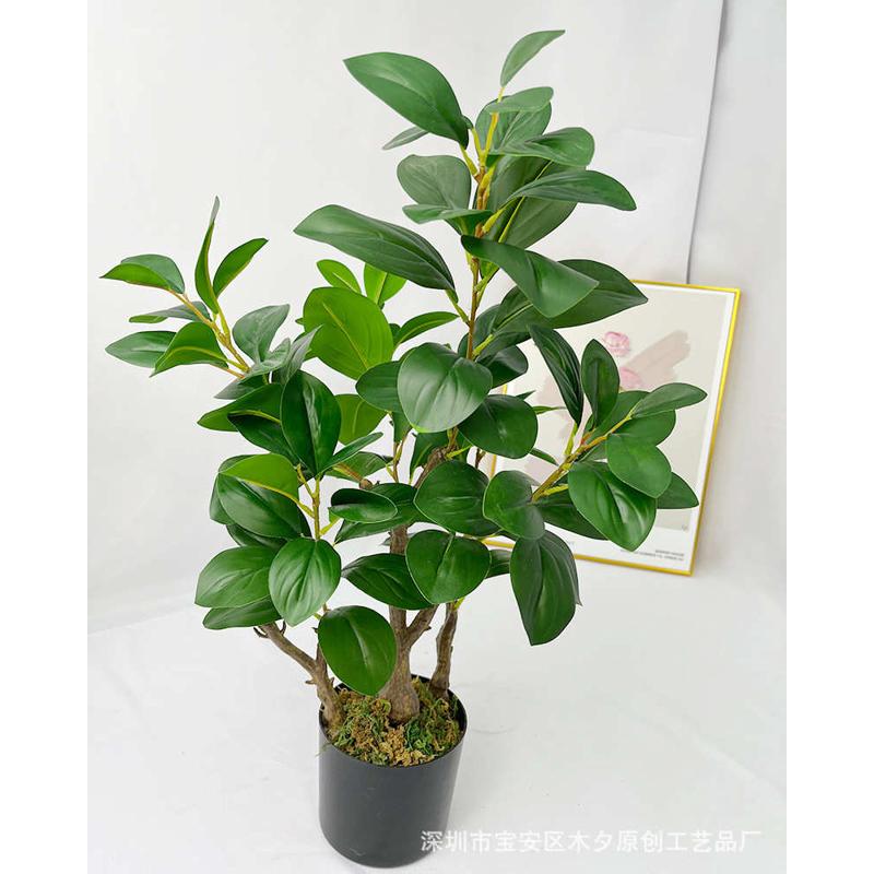 摆件家居装饰仿真墙盆景假植物叶绿豆瓣室内装饰植叶子落地