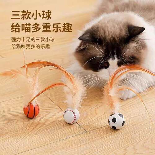Cat Teaser Wand with Feather and Plush Toy, Bouncy Ball for