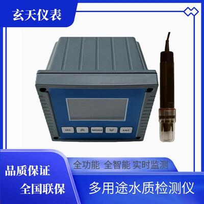 化工冶金行业污水氟离子仪工业废水氟离子计在线氟化物监测仪