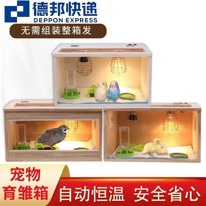 鹦鹉保温箱灯育雏恒温八哥芦丁鸡小鸭仓鼠玄凤幼鸟宠物繁殖可控温