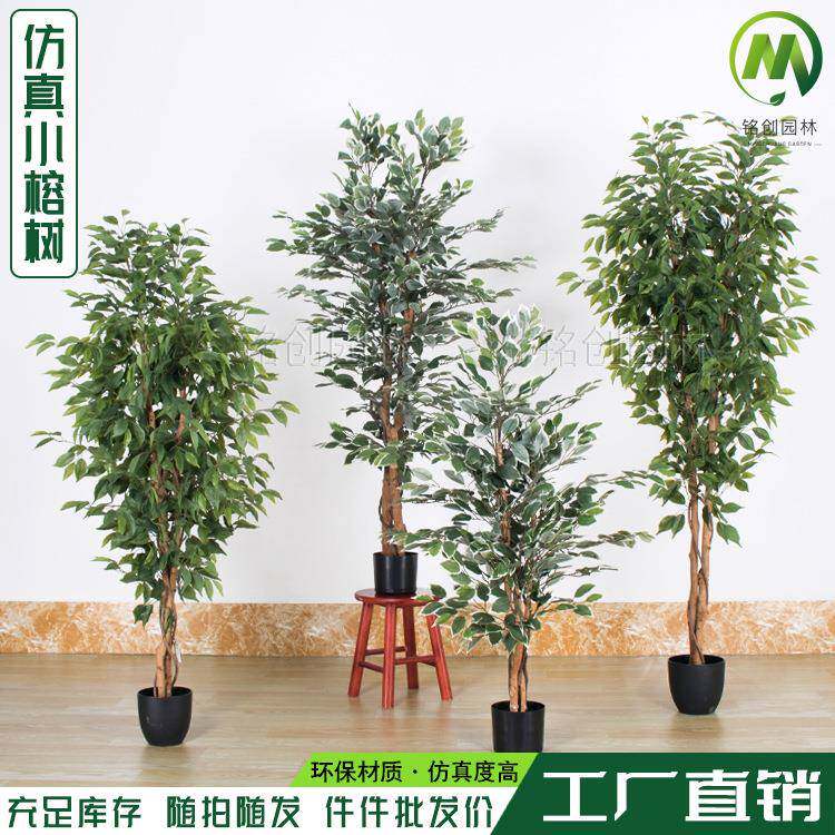 仿真绿植假榕树盆栽人造迷你榕树装饰用仿真榕树仿真植物景观