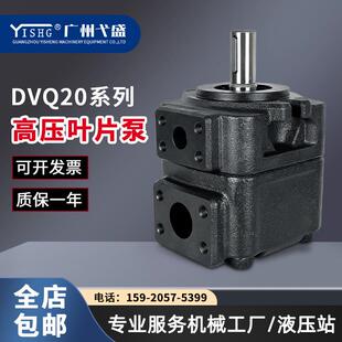 DVQ20-19/23/26/32/34/38-F-RAA-01液压高压叶片泵电动压定量油泵