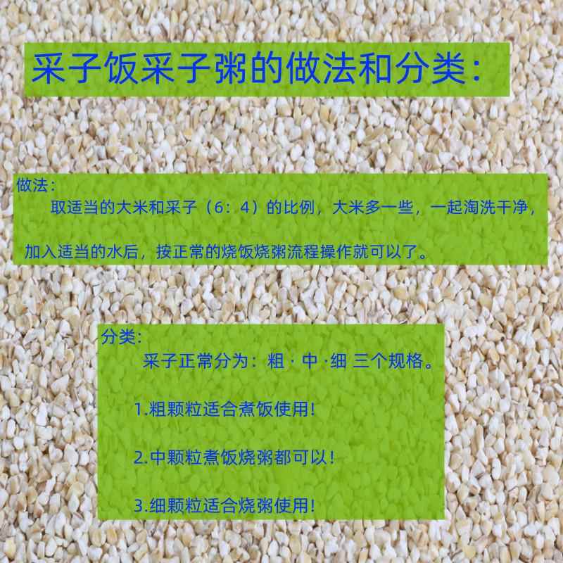 苏北盐城特产五谷杂粮大麦釆子大麦糁大麦面大麦米杂粮米粗粮 5斤