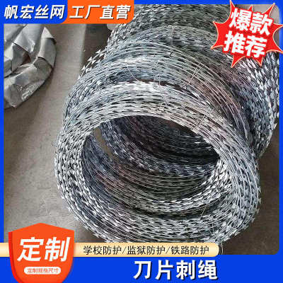 刀片刺绳不锈钢滚笼防锈防护网刺网带刺铁丝防盗防爬刺围墙防爬网