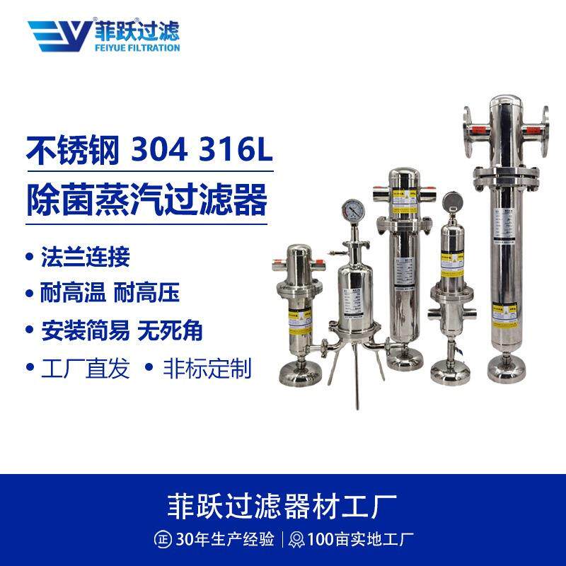 菲跃不锈钢蒸汽过滤器内置PTFE滤芯高纯气净化过滤器可定制