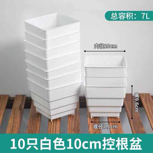 加厚锥盆石花莳多美育苗专用塑料景天播种根控仙人球方形肉生肉