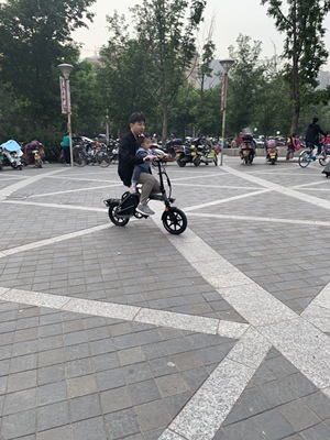 蜂鸟折叠电动车怎么样,评价这么好应该不会很烂吧??