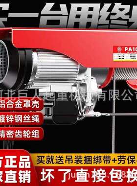 微型电动家葫芦22吊0升V1/2吨用小型机降吊葫芦起重机PA200-12升