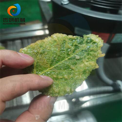 电加热翠叶油炸生产线 不粘网带桑叶油炸机 香酥翠叶油炸设备
