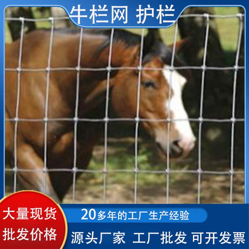 现货热镀锌牛栏网养殖牛羊鸡钢丝围栏网钢丝牛栏网农场隔离防护网
