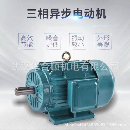 YE2YE3三相异步电动机2级电机马达卧式/立式厂家现货机械大功率