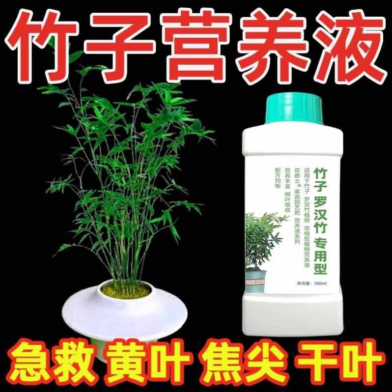 竹子专用营养液内门竹红观音竹佛肚竹罗汉竹水培米竹簕竹黄叶肥料
