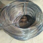 工艺品丝园艺绑丝 厂家销售镀锌丝 截断丝 黑退火丝 电镀锌丝