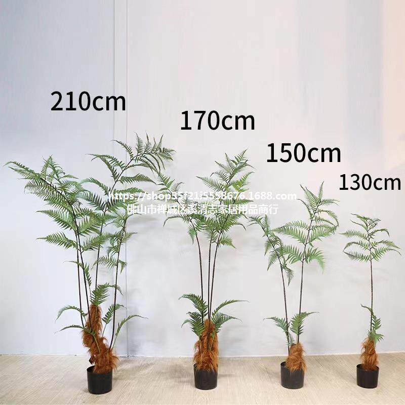 仿真绿植长毛猴头蕨金丝蕨盆栽 落地装饰摆件蕨树蕨草盆景假植物