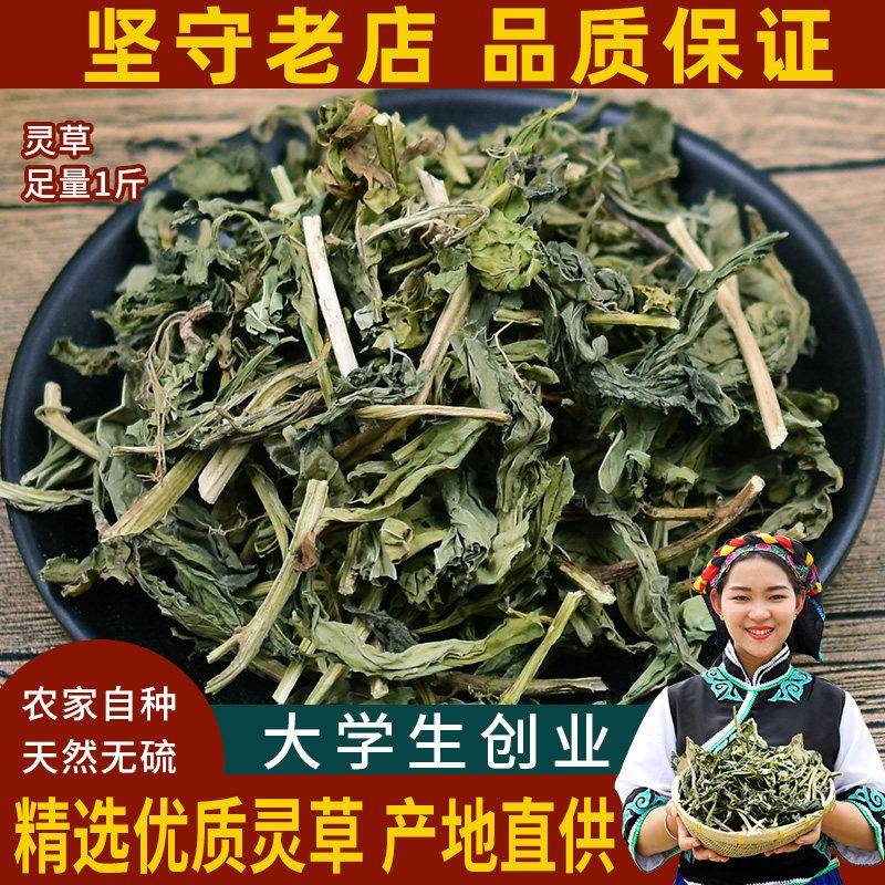 卤味火锅底料灵香草500克 香草灵草玲香草调味香料卤料火锅底
