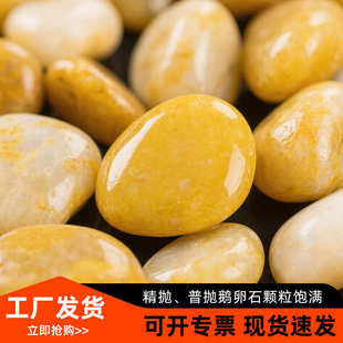 黄色鹅卵石精抛庭院阳台鱼缸造景黄卵石工程铺路黄色雨花石鹅卵石
