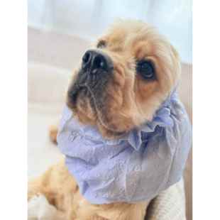 【夏季新品】卡卡网耳罩宠物美卡头套狗食防脏头套耳朵通风