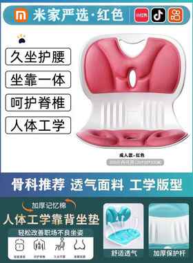 高档靠办公室体工学坐姿椅座椅靠垫一人坐体护腰垫神器久坐背腰部