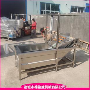 蔬菜清洗风干线高压喷淋洗菜机DMS 5000樱桃气泡清洗机