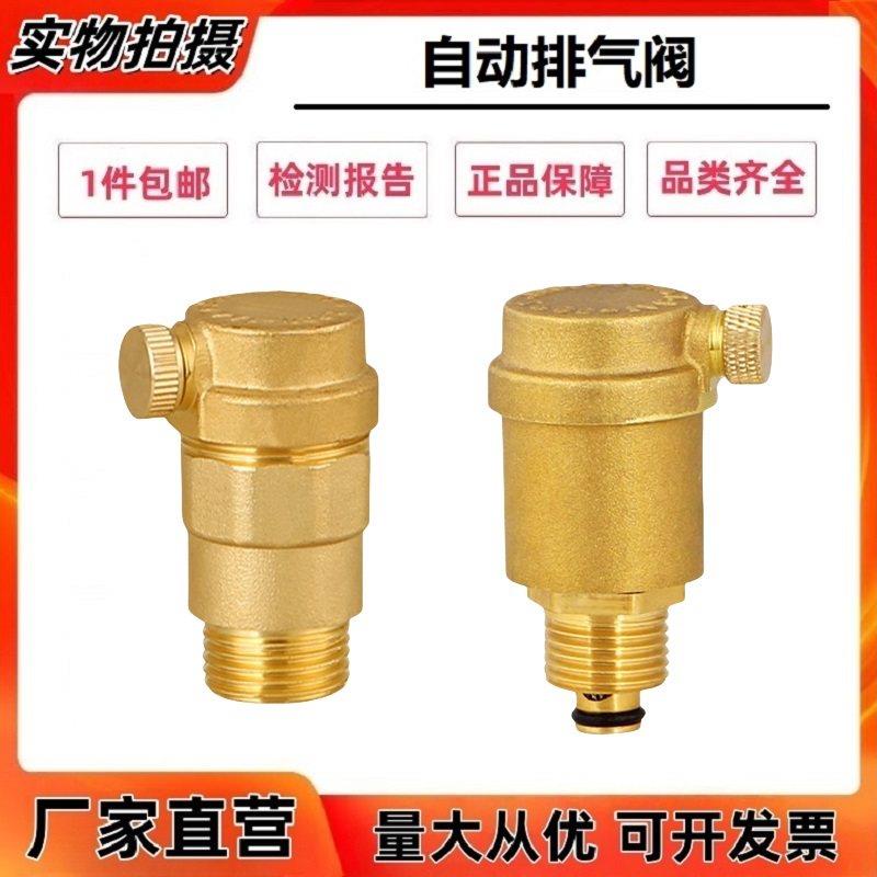 全铜自动排气阀自来水暖气管道放气阀4分1寸阀门DN15 20 25平口阀图片
