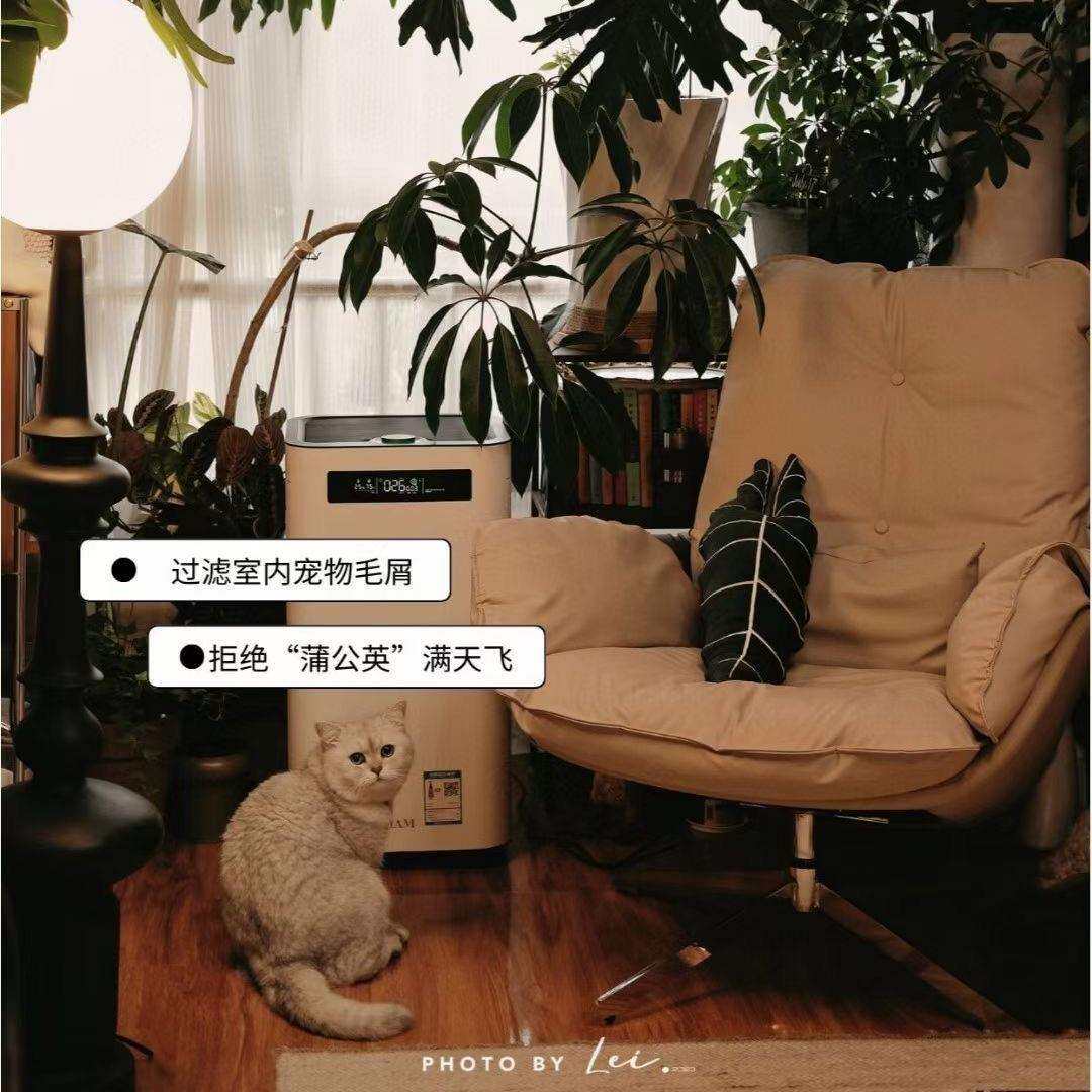 IAM艾恩姆空气净化器KJ800F-M8pro，负离子家用母婴适用