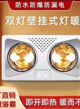 德国便携壁挂式灯暖浴霸灯泡新款卫生间取暖器聚迈防爆暖风机