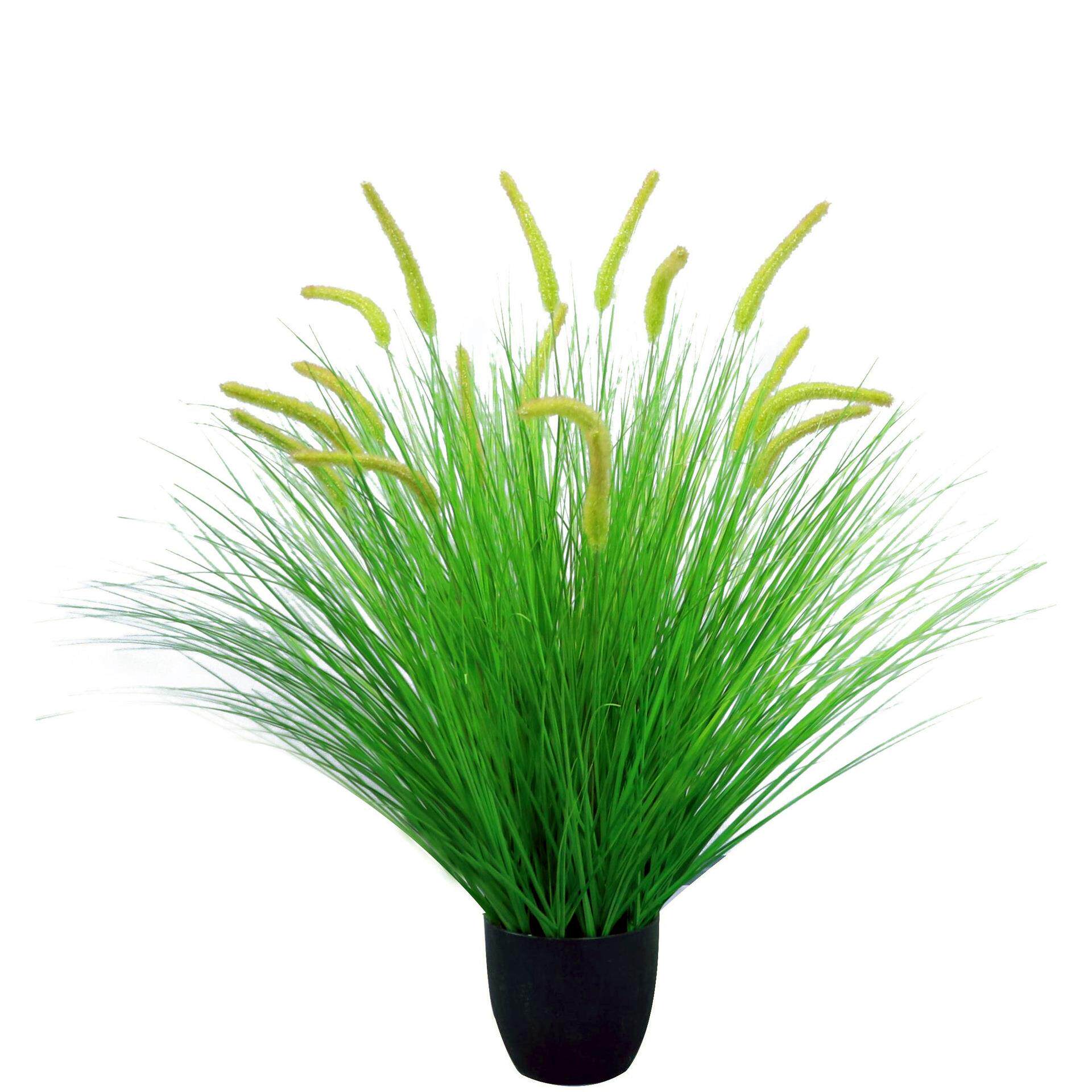 仿真狗尾草阻燃植物橱窗造景摆设盆景洋葱草把束源头厂家