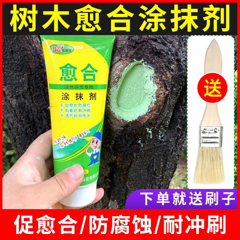 树木伤口愈合剂树木涂补剂人造树皮涂膜剂果树嫁接切口修复涂抹膏