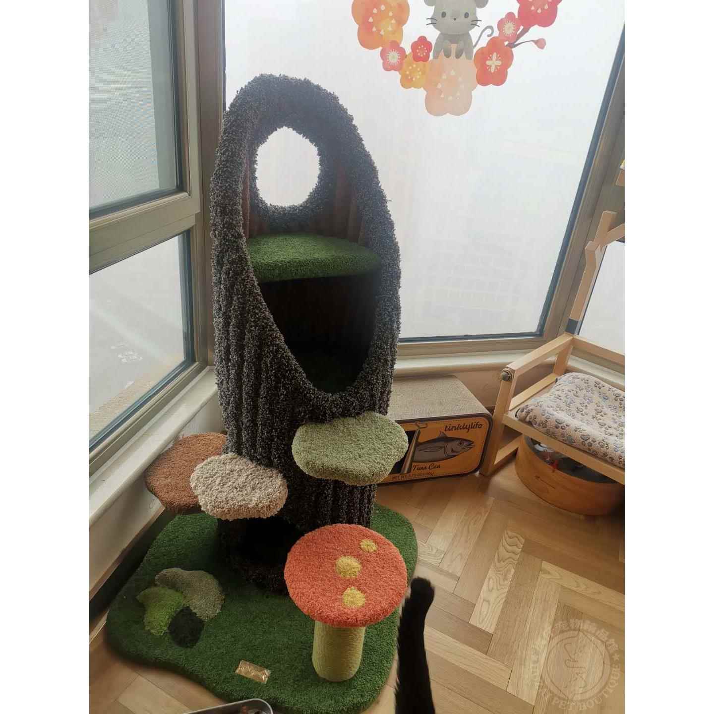正品现货amily2019野仙踪猫C爬架树绿洞猫屋绒毛猫窝猫仙居猫树猫