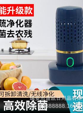 果蔬净化器家用果蔬清洁机智能肉类蔬菜水果净化机去除农残洗菜机