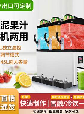 雪泥机水果冷饮机饮料机果汁机自助橙汁啤酒可乐冰沙机雪融机商用
