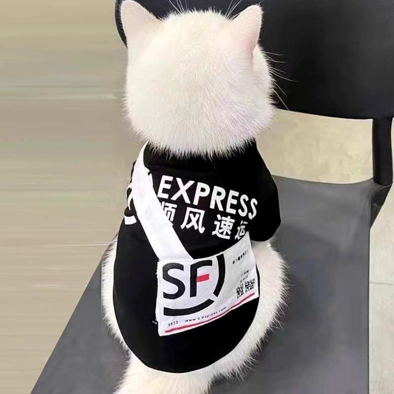 猫咪衣服快递外送揹包薄款英短布偶蓝猫银渐层幼猫宠物狗狗搞笑装
