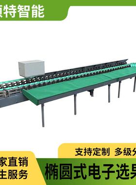 家用款桃子芒果重量分级水果分选机 脆柿子释迦果称重分拣选果机