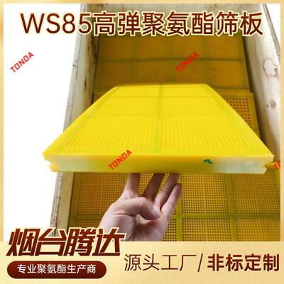 聚氨酯筛板MDI矿用振动筛筛板高耐磨柔性WS85高弹性筛板
