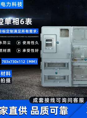 现货供应挂壁式主相单相6表电表箱783X730X112电表箱