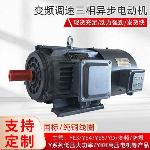 衡水电机厂家定制生产YVFE2-4极2.2-200W变频调速三相异步电动机