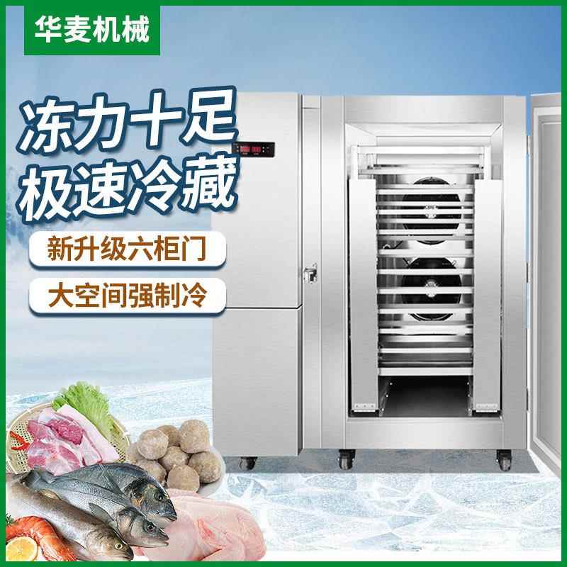 商用大型速冻冷藏柜不锈钢推车式高身冷柜海鲜包子饺子速冻柜