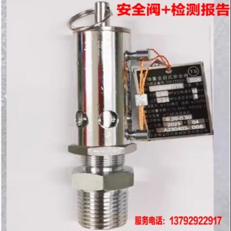 高压灭菌锅灭菌器全启式安全阀自动排气阀放气阀压力蒸汽消毒锅图片