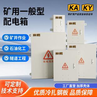 矿用一般型配电箱冷扎钢板壳体KAKY标识加厚防护电力控制柜可定制